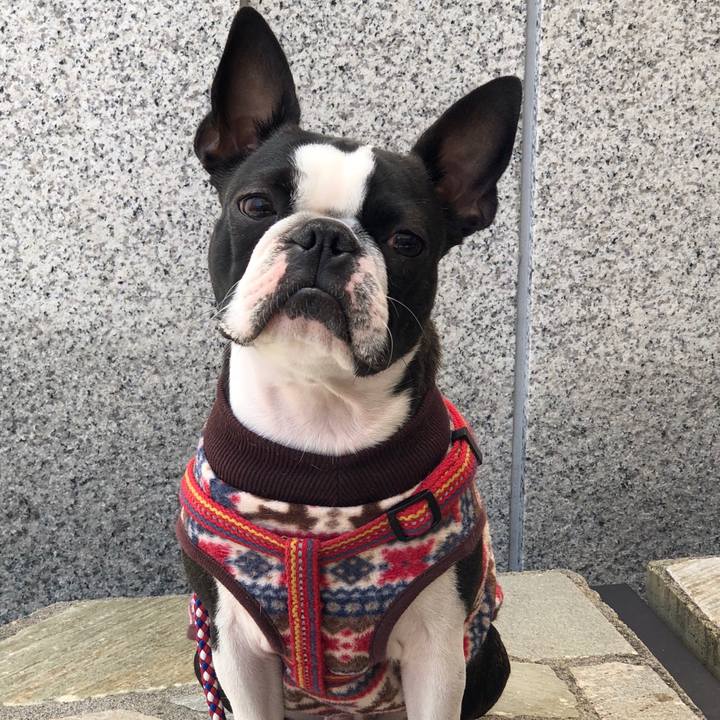 01423d1c 4637 4b34 8ef4 96b596f7d02c 1522494641820