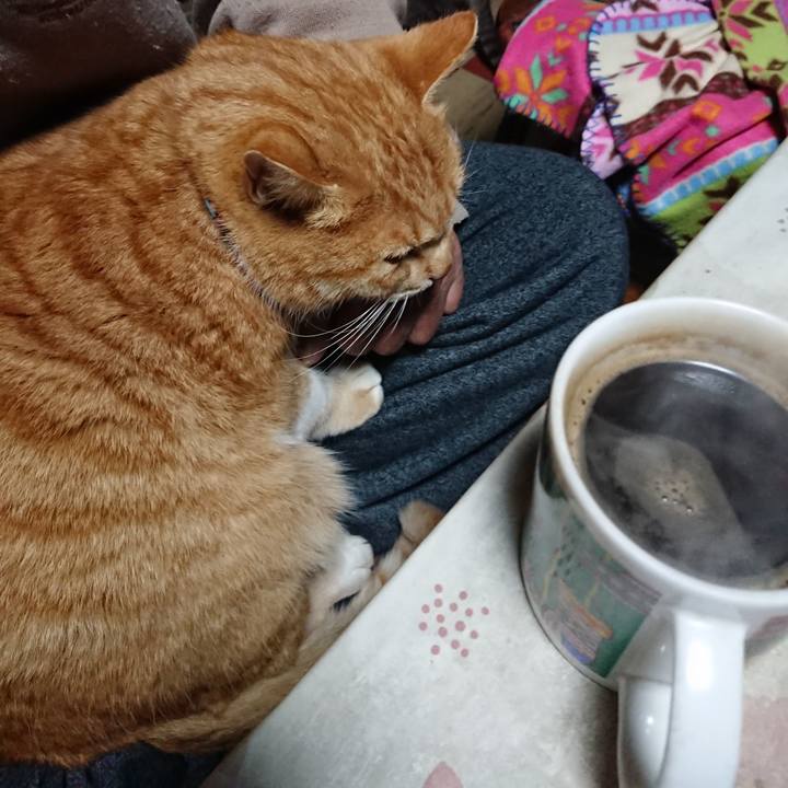 01426386 756c 42aa b2ee f340ff25f7c8 1576612284322