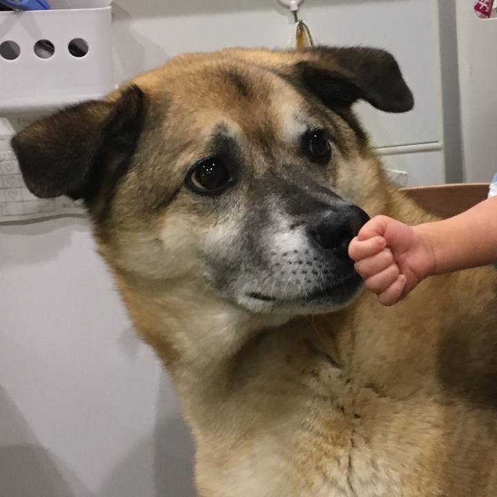 01428e5b 528b 4651 9cd2 ad03e0601542 1527418635684