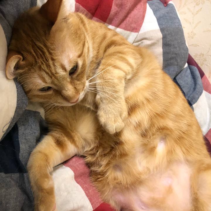 0142c028 c939 4f28 922c ff379c5e5665 1575126089296