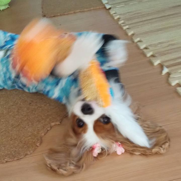 0142c729 3918 4bf2 a7e7 23f758e1ab16 1598771690356