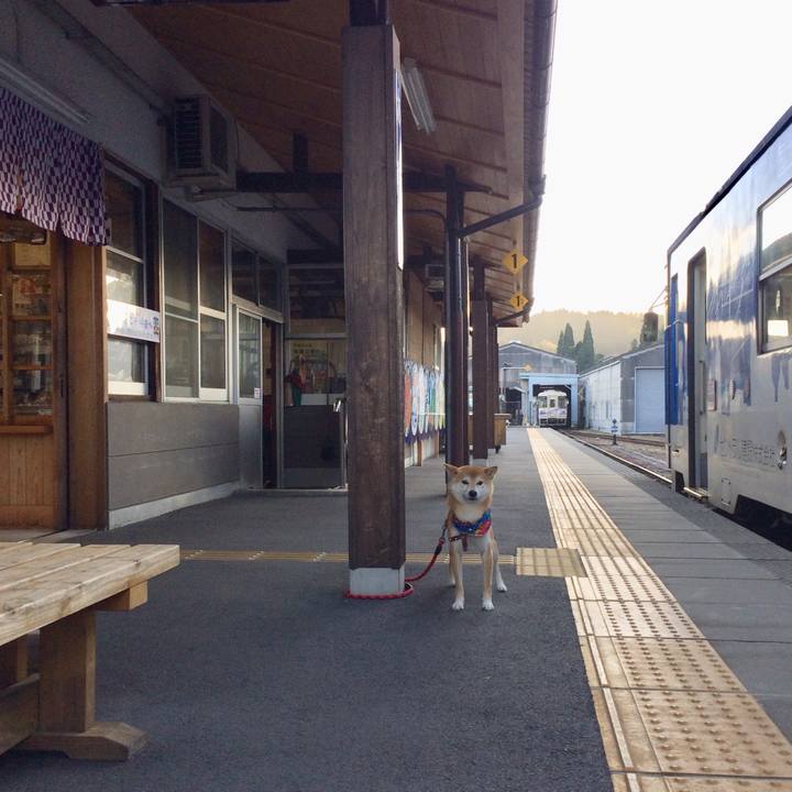 01430a16 7206 43e7 86d7 cf5169d39b87 1509698429855