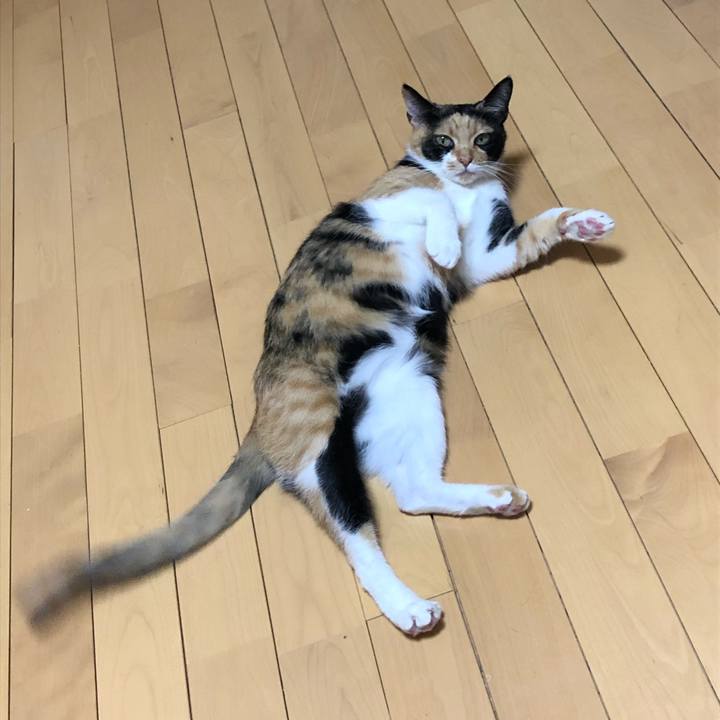 01430e47 8d0c 42f2 91b8 1b441e4b2833 1596715934558