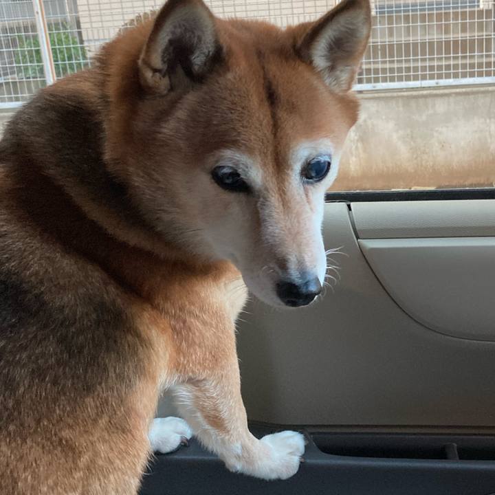 014314a4 b73a 4edf 85f4 f9b297d7e9d5 1635597917013