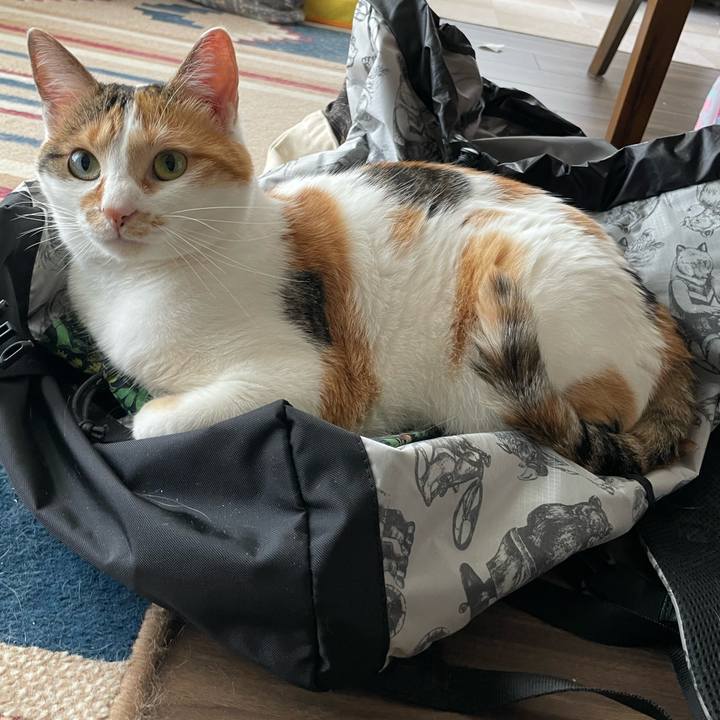 01432754 859e 4f08 baeb 07a78a58dd68 1654043631180