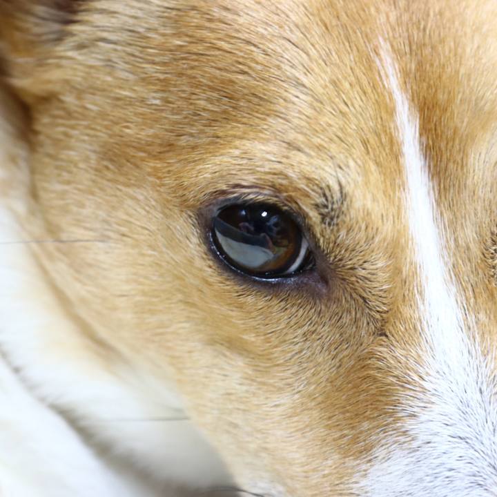 01434949 6561 41a4 baff d21415261ba7 1552215635455