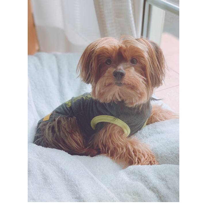 01435211 2bc8 47c8 b0c2 ee5cfba4ab38 1552464573122