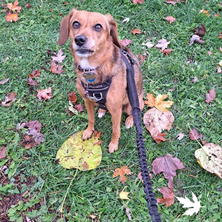 0143b43a 6e2e 4040 a25a 60aa18c64d7c 1761944103679