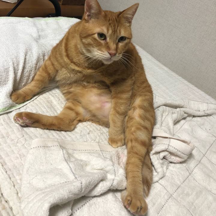 0143bc64 57d8 4a8a 9419 17a2ab161e7a 1594036152829