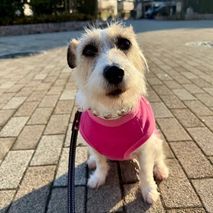 0143d55c 6767 457e 86ed 8f7c27a62816 1771073356476