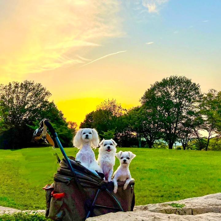 0143d73f 5f8b 4b8d bb9a 46f6f75ed2fb 1686203363139