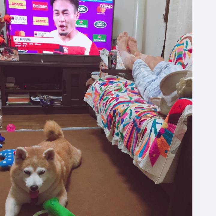 0143fc1f 6c78 403c acb8 1a2077020b29 1570980238957