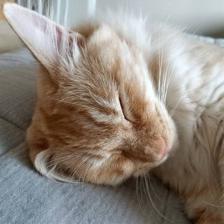 0143fcb5 d5c7 4e64 817c 680ac1eb882a 1621991743122