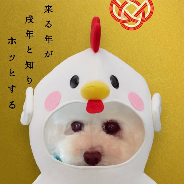 01440bbc 8875 468e a642 9484aa3ffedb 1509281810052