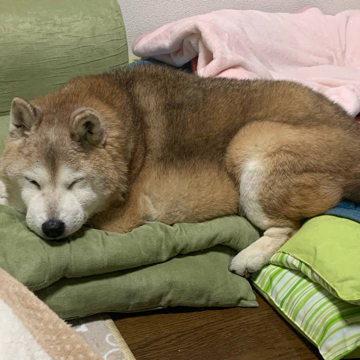 0144129c 87cf 4cc2 9765 6af2aa1b5d95 1676810637746