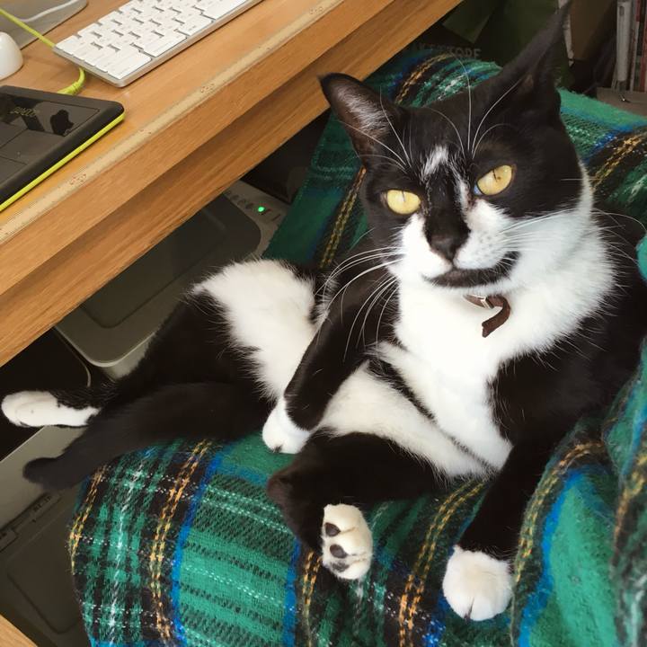 01441c16 1d9f 497b b288 5c1a1187896e 1774668128741