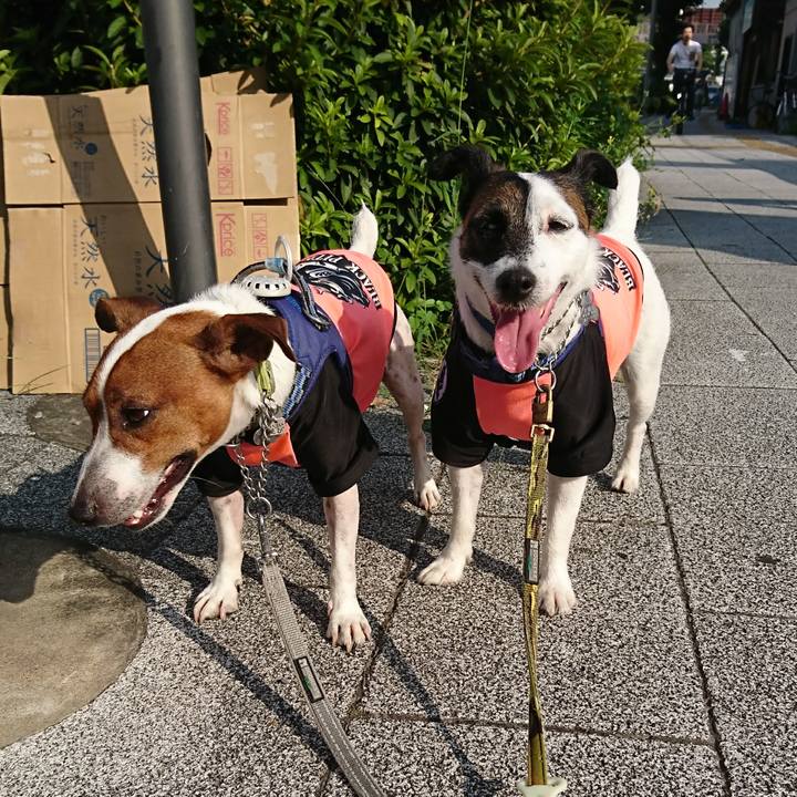 01445e71 0ddb 48fc b7ef 14066336b70d 1596667068160