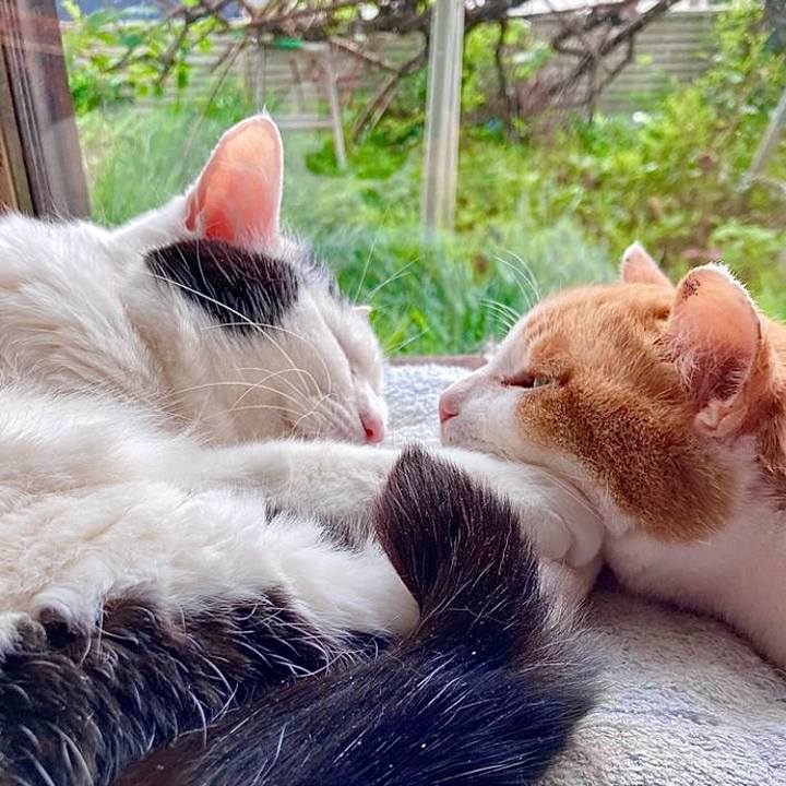 01447e49 1e25 4b68 8ab1 83a2ec1a1202 1737187998880