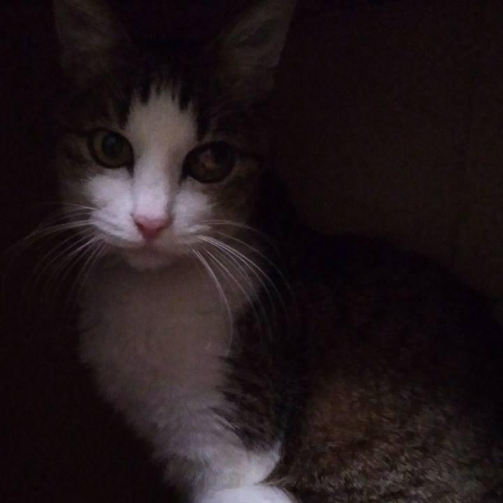 014498b9 cc65 40f8 9437 2b569ca3a03d 1518937810721