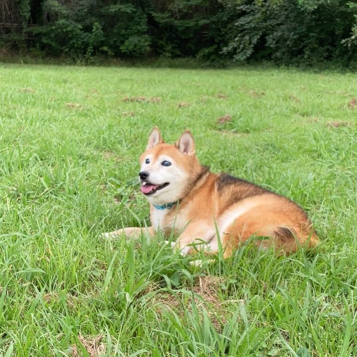 01449e77 48ea 4769 8db5 78ddb1903545 1727153669104