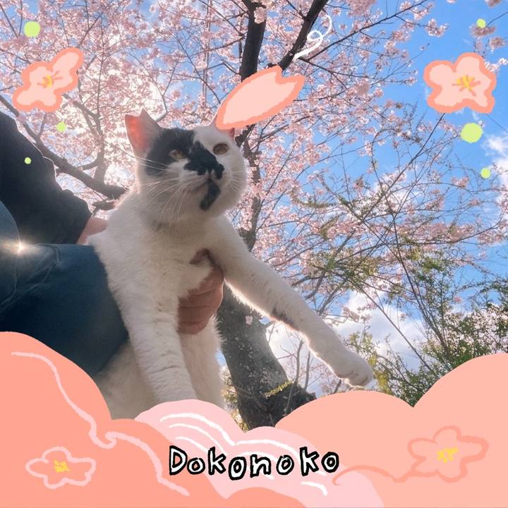 0144a772 942a 4fd2 98d6 03591cc51f78 1775478678759