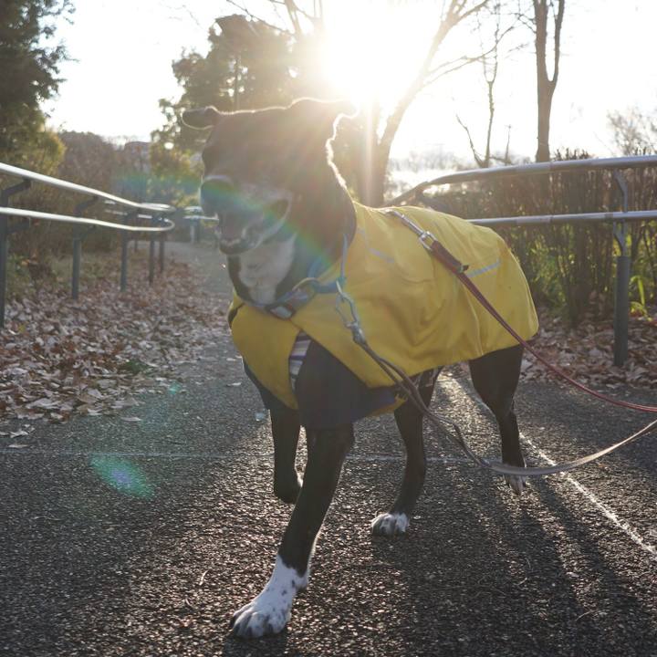 0144b36a 7f7a 4389 81ef 8354f637a491 1767315720905