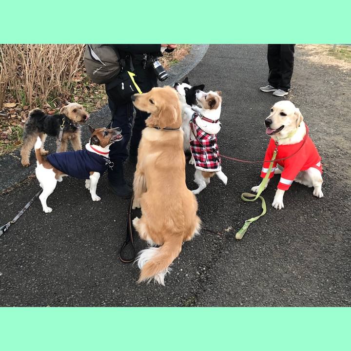 0144c33c 97d3 42bf 91c9 c8f8f6a0dc4d 1609627907056