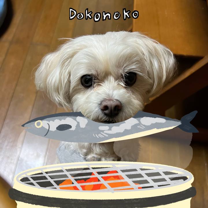 0144c5cb a494 46a3 b969 946079ce06cb 1761210594399