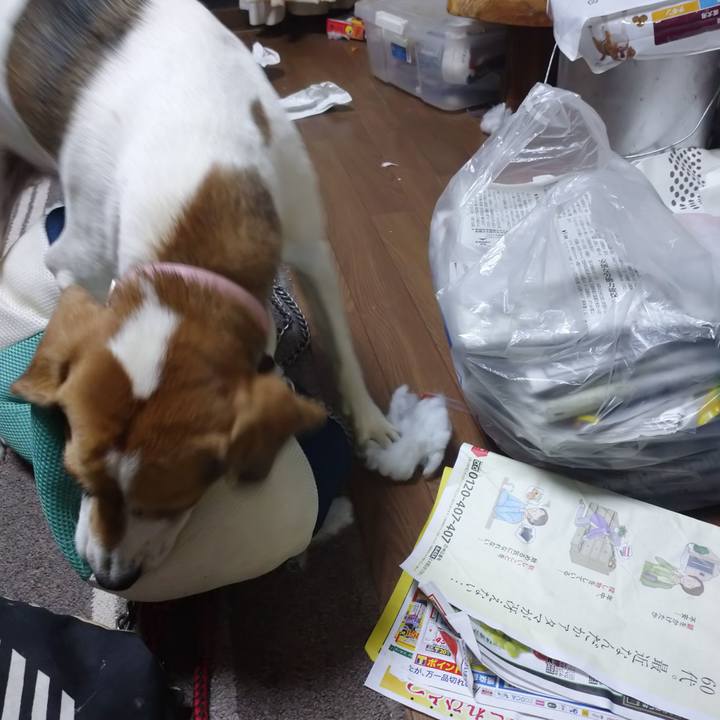 0144ca8a f3b5 44b2 ada2 1922461590ad 1600860213150