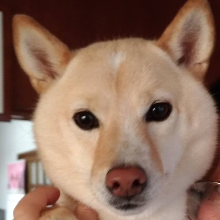 0144e96a 38c5 4019 a803 90274a2f0b69 1601248819319