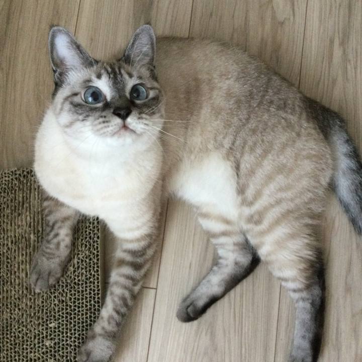 0144f0d2 a537 4c0c a53f 56c88124a201 1662773164541