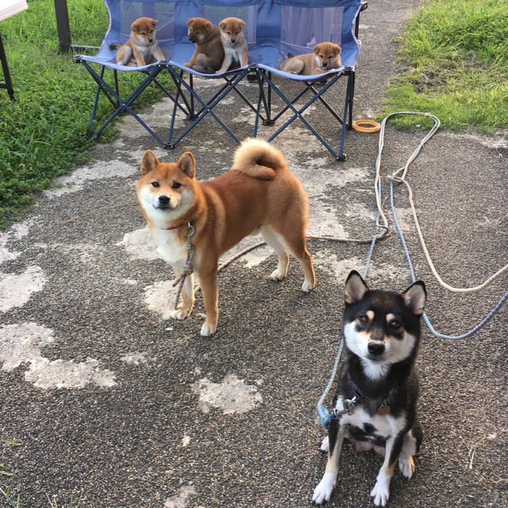 014523ab 06b4 4ee9 bc9a 5495f41502a5 1514711604372