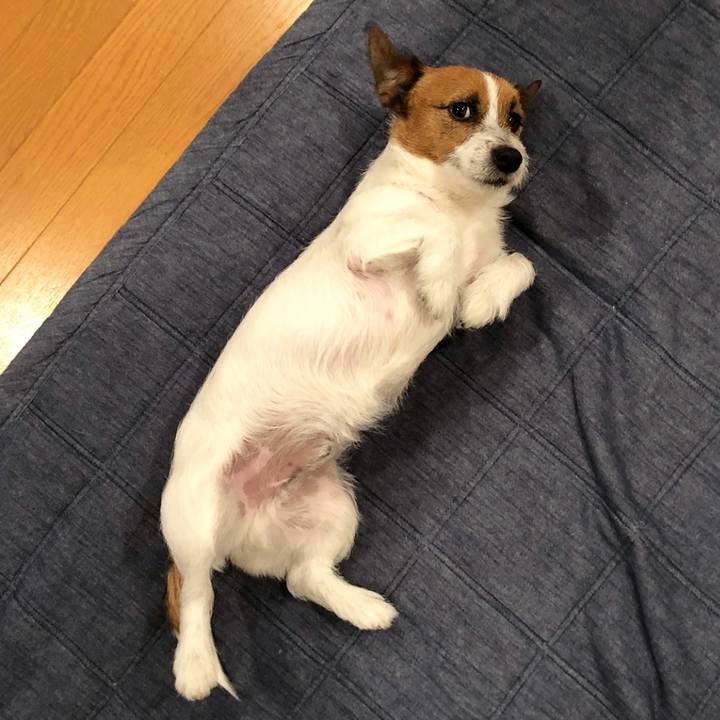 0145567a c317 446a 87a8 9fe79c891d36 1517405881709