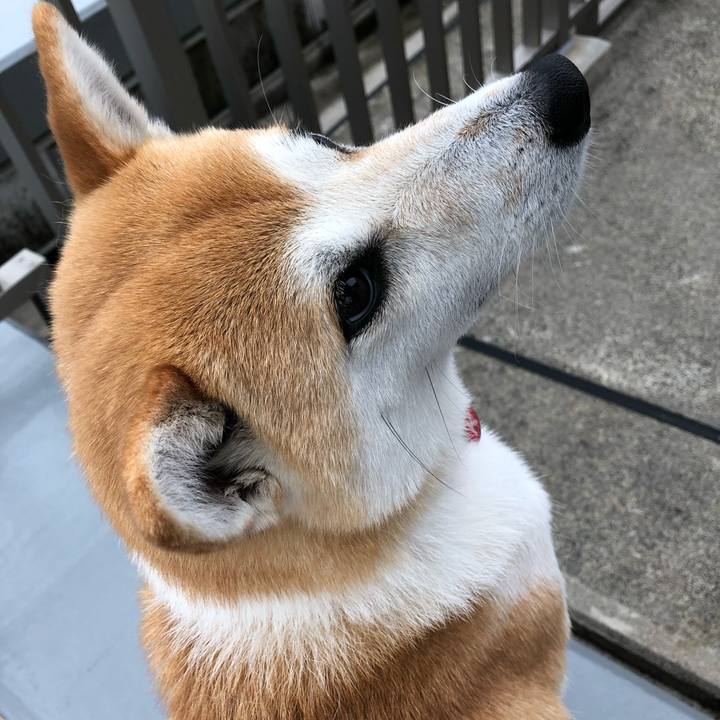 0145581a 9eb8 4e5f 90ec d44877b4e460 1527721135681