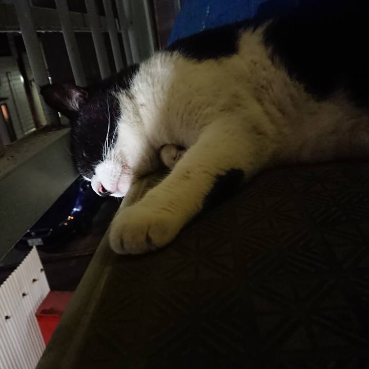 014561d8 e567 4bef 982e 980092cab082 1597661501555