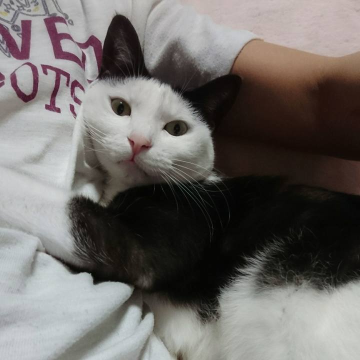 0145760e 7308 48a0 adee 96418cc7a99b 1539432006581