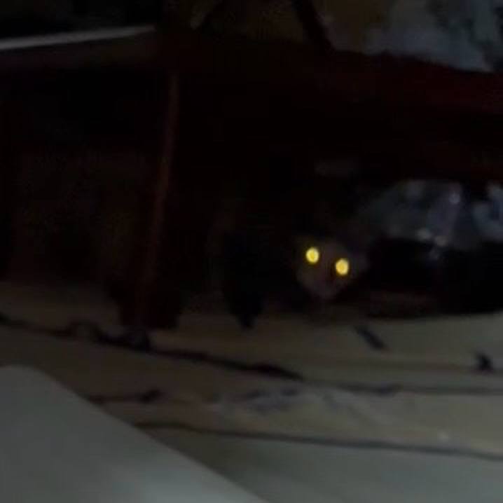 0145da33 4f2a 45e0 96b5 fd6d4456da46 1766867925751