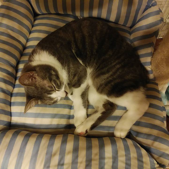 01460d90 9008 4c96 9be3 d3d9e53eec33 1586446208077