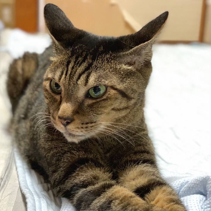 01461cec 8448 4cf9 85d4 e809b952a13a 1569461917707