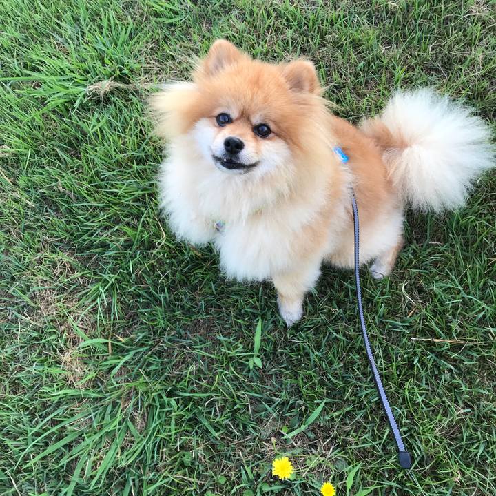 01463124 80f5 4989 af65 e2c330dccfc0 1532477742612