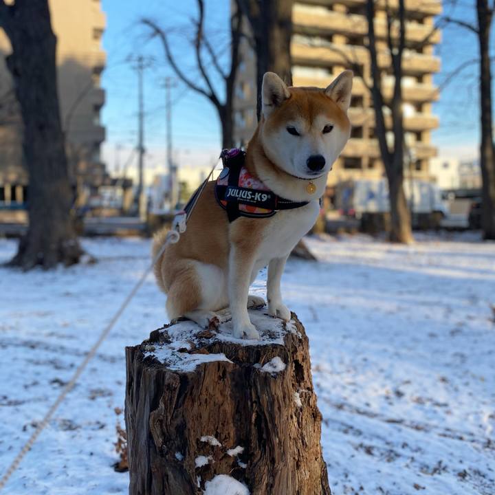 01464feb d2f0 4c22 9b9f 537ec456836c 1606867793315