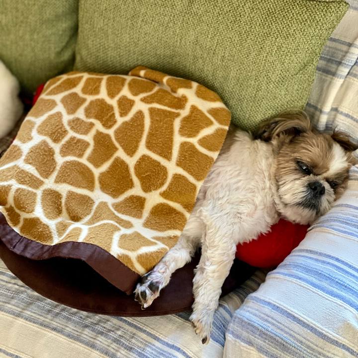 01468f3d 8fe2 452b 8f9f 2a6c63ec81ad 1666162553317