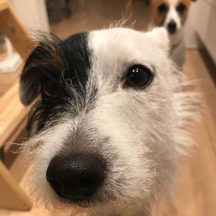 01469586 6947 490c a2d5 05dc5d350475 1512987342462