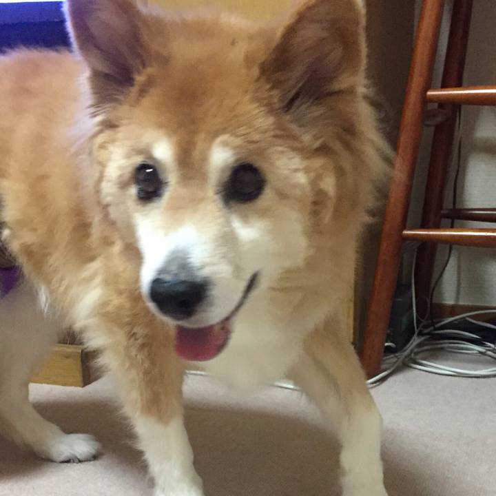 0146a77b 65ad 4f50 abfa c92c51516eea 1541847659168