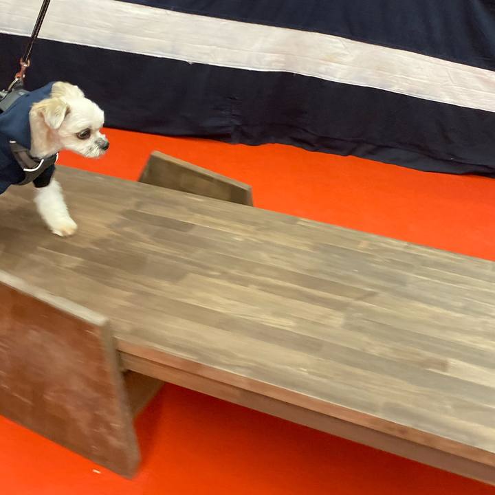 014733bd 1099 413c 9d66 2567044fac92 1570247384158