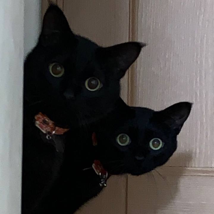 01473d31 3a4f 46e4 b444 57052c65c774 1552715931301