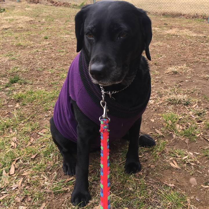 01474b03 46ae 484c b4e1 b357ca7ce260 1519211989556