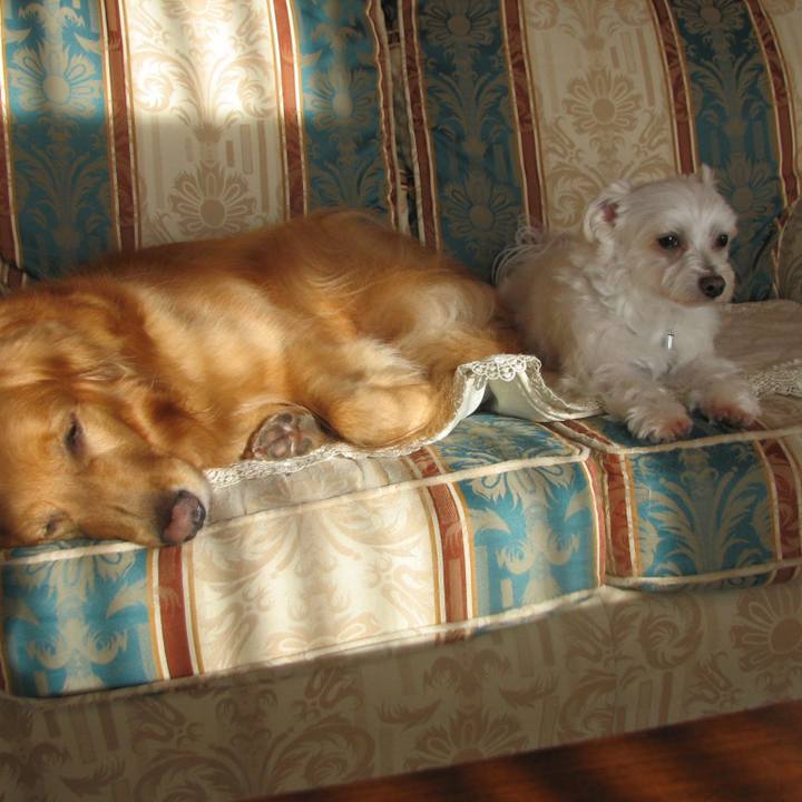 01474d8c bb59 4b2b 9d78 0cd8615a8ca2 1522076551670