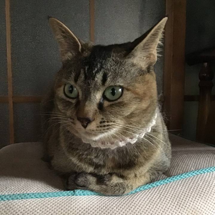 014764fc 0ff9 4246 a95e d569fe7fb97e 1652604722609