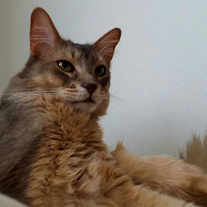 01476be0 3298 4da2 8608 ccf85ac9257c 1525486893070